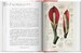 A Garden Eden. Masterpieces of Botanical Illustration. 40th edition [Taschen] дополнительное фото 6.