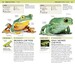 Nature Guide Snakes and Other Reptiles and Amphibians дополнительное фото 1.