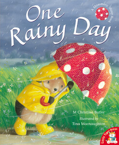 Книги для детей: One Rainy Day - мягкая обложка