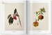 A Garden Eden. Masterpieces of Botanical Illustration [Taschen] дополнительное фото 6.