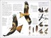 RSPB Birds of Britain and Europe дополнительное фото 4.