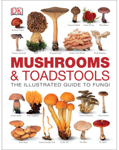 Книги для дітей: Mushrooms & Toadstools