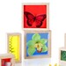 Игровой набор блоков Guidecraft Natural Play Сокровища в цветных ящиках дополнительное фото 3.