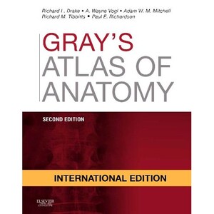 Иностранные языки: Gray's Atlas of Anatomy, International Edition, 2nd Edition