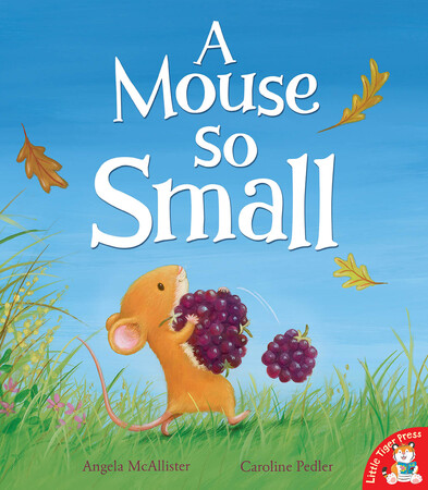 Книги про тварин: A Mouse So Small - м'яка обкладинка