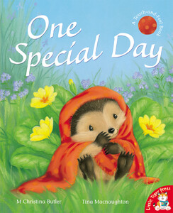 Книги для детей: One Special Day - мягкая обложка
