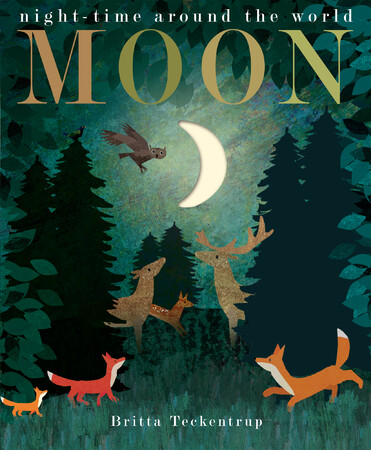 Животные, растения, природа: Moon - Little Tiger Press