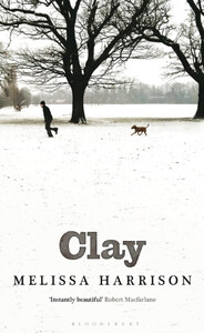 Книги для взрослых: Clay
