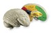 Модель мозга человека анатомическая в разрезе Learning Resources дополнительное фото 1.