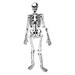 Напольный пазл "Скелет человека" Learning Resources дополнительное фото 1.
