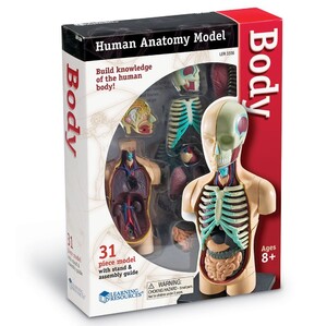 Анатомічні моделі-конструктори: Демонстраційна модель "Тіло і внутрішні органи людини" Learning Resources