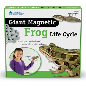 Естествознание: Обучающий набор на магнитах "Жизненный цикл лягушки" Learning Resources