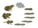 Навчальний набір на магнітах "Життєвий цикл жаби" Learning Resources дополнительное фото 1.