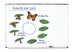 Обучающий набор на магнитах "Жизненный цикл бабочки" Learning Resources дополнительное фото 1.