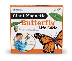 Естествознание: Обучающий набор на магнитах "Жизненный цикл бабочки" Learning Resources
