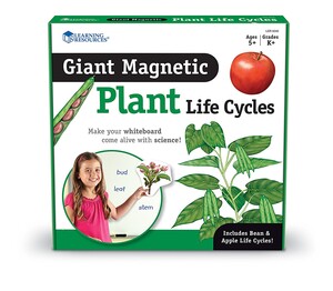 Исследования и опыты: Обучающий набор на магнитах "Жизненный цикл растения" Learning Resources