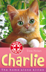 Книги про тварин: Charlie The Home-alone Kitten