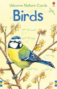 Розвивальні картки: Birds nature cards