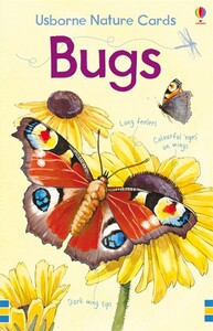Развивающие книги: Bugs nature cards