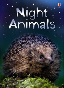 Книги про тварин: Night animals [Usborne]