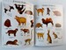 Animals Ultimate Sticker Book дополнительное фото 1.
