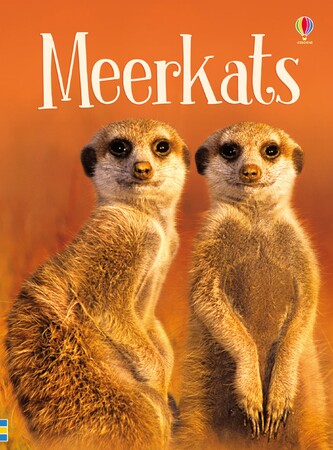 Книги про животных: Meerkats [Usborne]