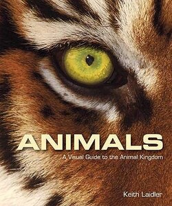 Книги для дорослих: Animals: A Visual Guide to the Animal Kingdom