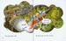 Phonics and First Stories: Read with Biff, Chip and Kipper Levels 4-6 - 25 Books (Oxford Reading Tre дополнительное фото 5.