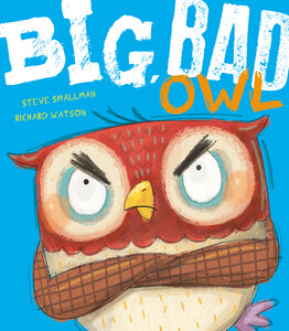 Книги про тварин: Big, Bad Owl - м'яка обкладинка