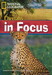 Cheetahs in Focus (+DVD) дополнительное фото 1.