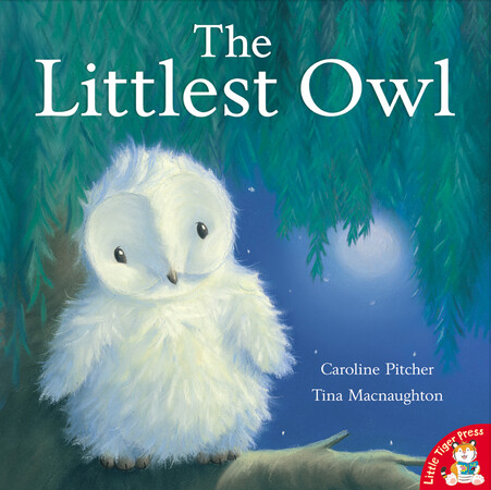 Книги про животных: The Littlest Owl