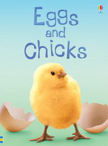 Книги для детей: Eggs and chicks