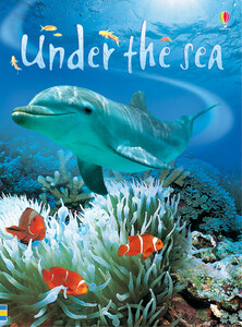Книги для детей: Under the sea - Usborne Beginners