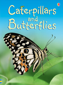 Книги про животных: Caterpillars and butterflies [Usborne]