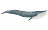 Фигурка Синий кит 14806, Schleich
