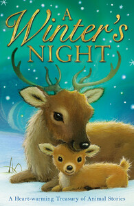 Книги для детей: A Winter's Night