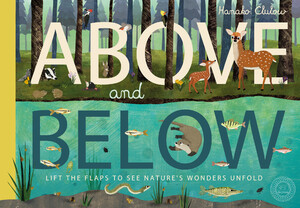 Книги для детей: Above and Below - Твёрдая обложка
