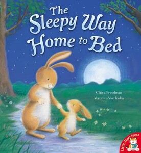 Книги для детей: The Sleepy Way Home to Bed