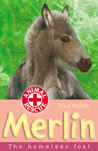 Книги про тварин: Merlin The Homeless Foal