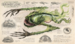 Harry Potter 3 Prisoner of Azkaban Illustrated Edition [Paperback] дополнительное фото 2.