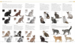 The Cat Encyclopedia (new edition) [Dorling Kindersley] дополнительное фото 1.