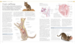 The Cat Encyclopedia (new edition) [Dorling Kindersley] дополнительное фото 2.