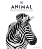 Animal Visual Guide