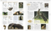 Animal Visual Guide дополнительное фото 3.