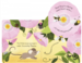 Little lift and look garden [Usborne] дополнительное фото 3.